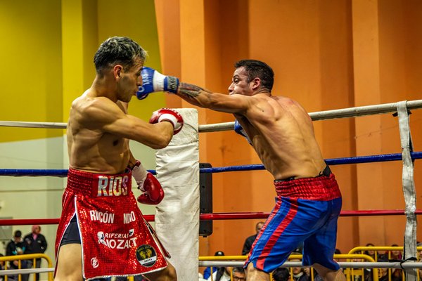 Welche Geräte sind am besten für den Muskelaufbau im Fitnessstudio?